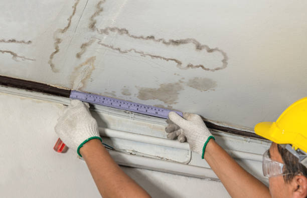Reliable Water Removal contractor in Mount Pleasant, TX by Water Damage Irwin
